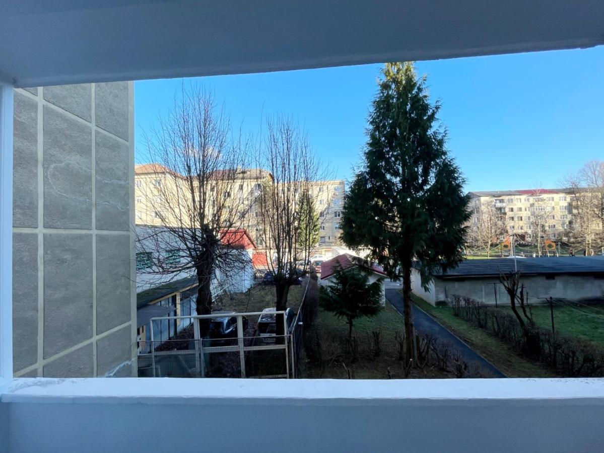 Apartamento Igla House Baia Mare Exterior foto