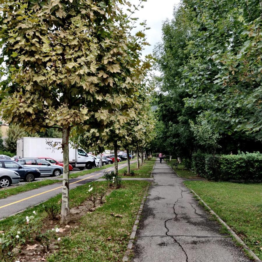 Apartamento Igla House Baia Mare Exterior foto
