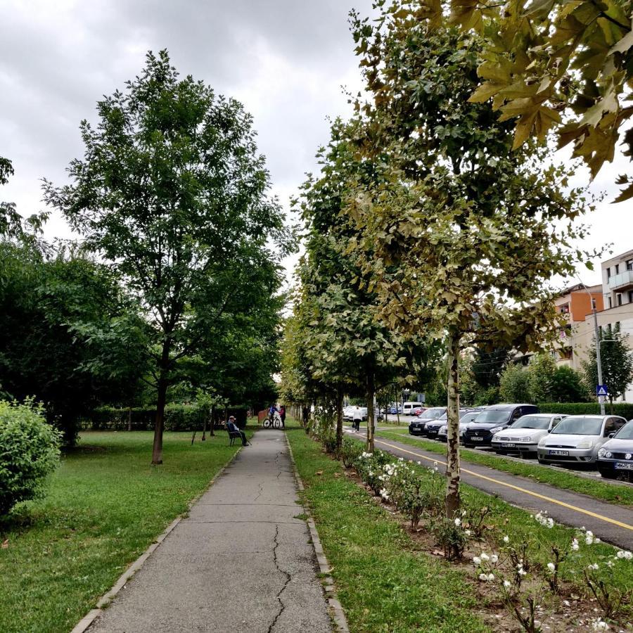 Apartamento Igla House Baia Mare Exterior foto
