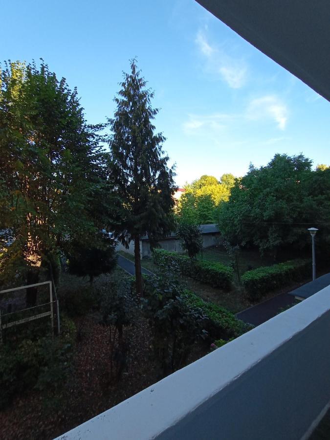 Apartamento Igla House Baia Mare Exterior foto